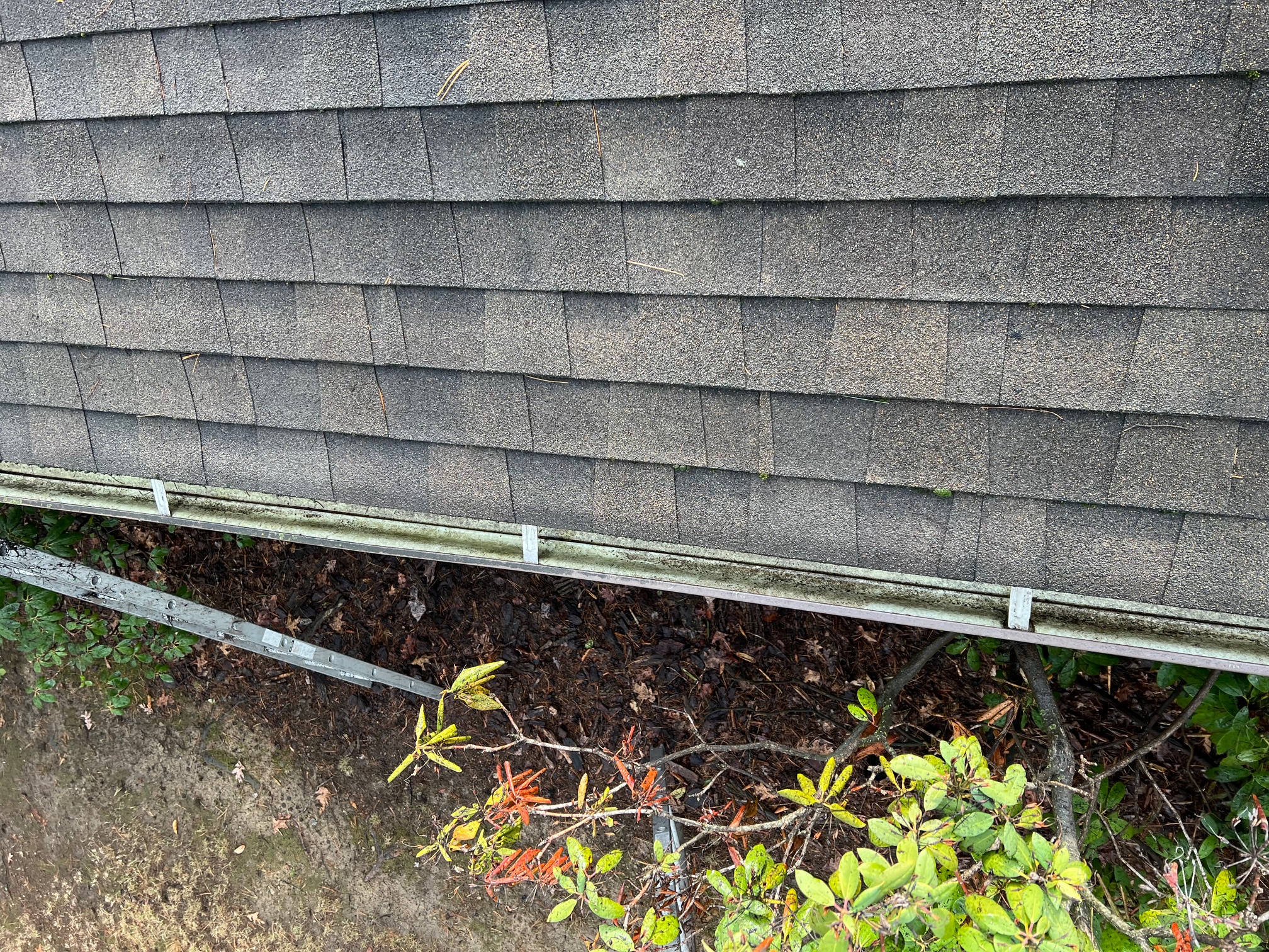 Clogged gutter with leaves and debris
